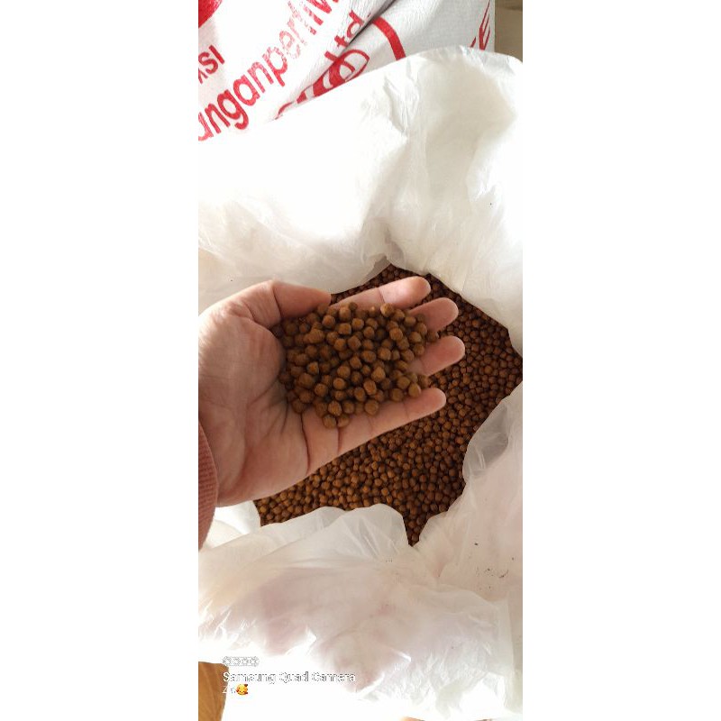 Pelet pakan ikan Lele gurame dll 782 kiloan