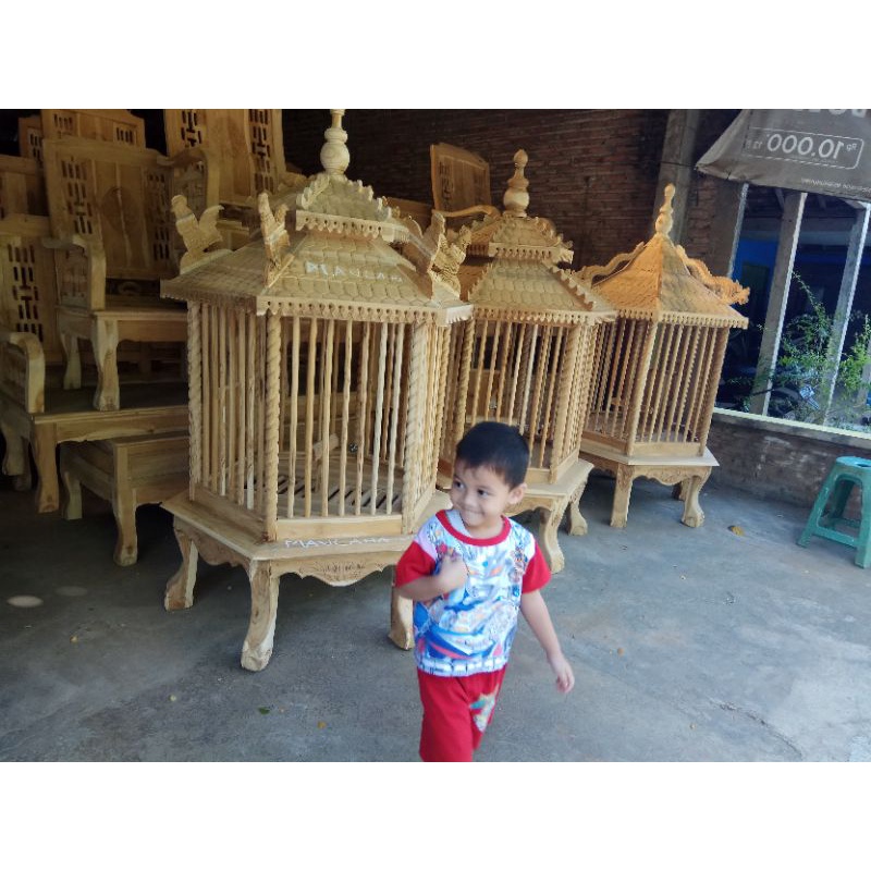kandang ayam  pelung bekisar sangkar jati sangkar burung  beo hias