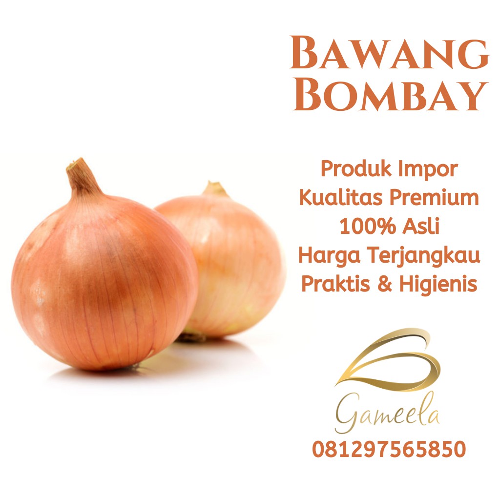 

Gameela Bawang Bombay Premium 500 Gr Grade A Besar Ukuran 6/8 Cm Bumbu Dapur Impor Bombai Rempah JSR