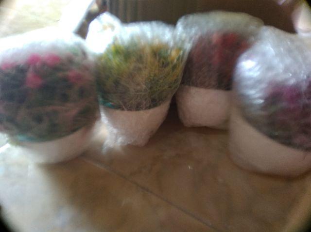 Rumput Plastik Artificial Untuk Dekorasi Meja - Tanaman Bunga Rumput Hias Unik & Lucu - Vb09