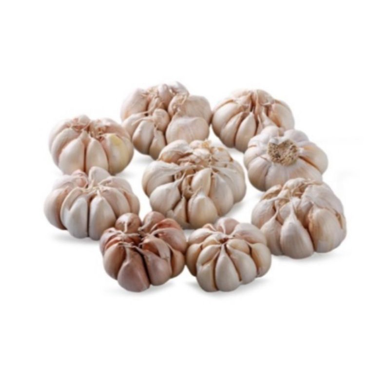 

BAWANG PUTIH 1 KG