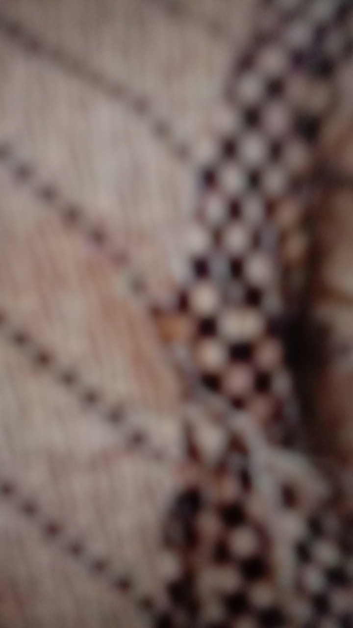 Terlaris Serut Genes Jelita Tunic Navbor Yelbor Whitbor Creambor Tunik Batik Modern Hrb030 Dolbi Dob