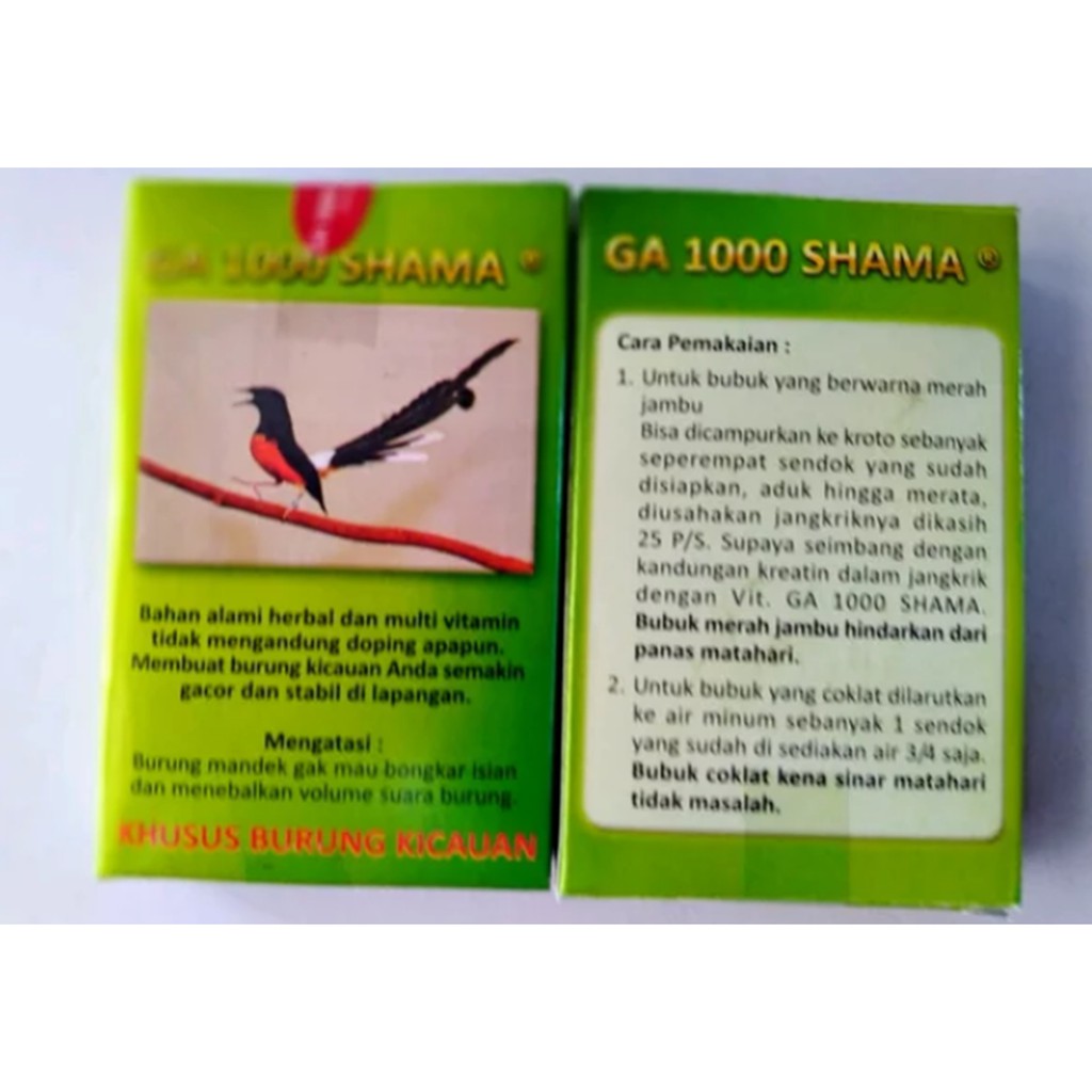 GA 1000 SHAMA KHUSUS BURUNG KICAUAN