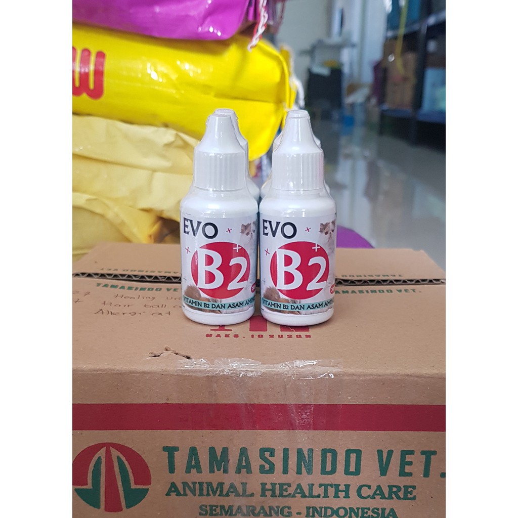 Evo b2  Bulu Rontok Kucing Vitamin B2 Asam Amino