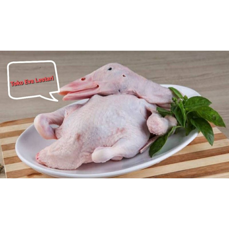 

Bebek Potong Fresh 1500 Gram