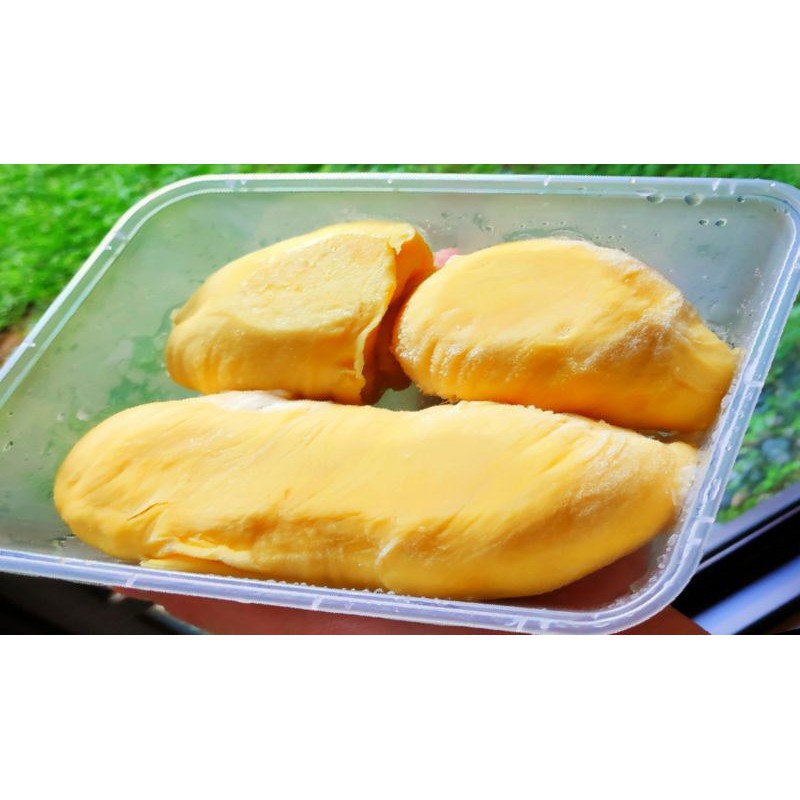 

Durian Montong Bali Kupas Frozen premium / pack 500gram