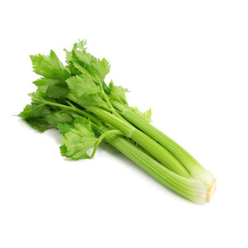 

[SAYUR EMAK] (ORGANIK) SELEDRI STICK LOKAL / CELERY STICK 1 IKAT / SAYUR SEGAR