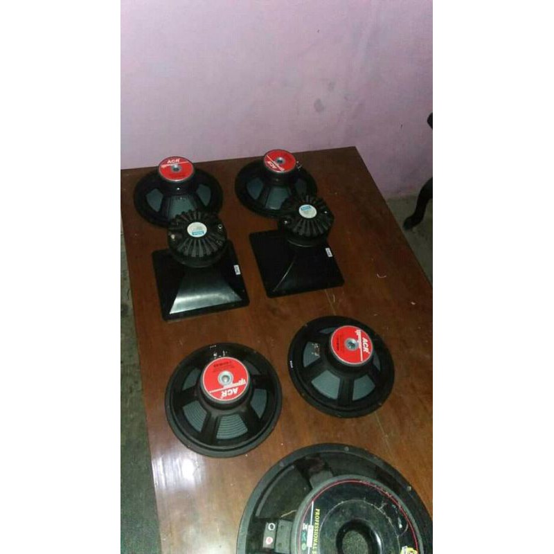speaker ACR 10 inch 10 18