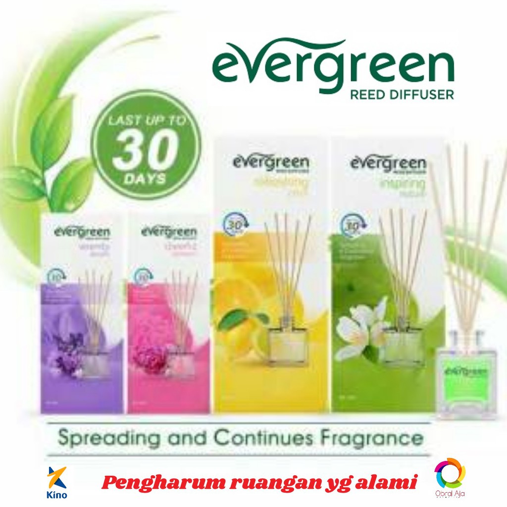 Jual Evergreen Reed Diffuser 30 Ml / Aroma Sensation 50 Ml Shopee