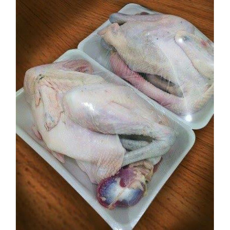 

daging ayam kampung