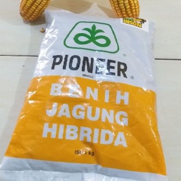 Benih jagung hibrida P21 BISON PIONER