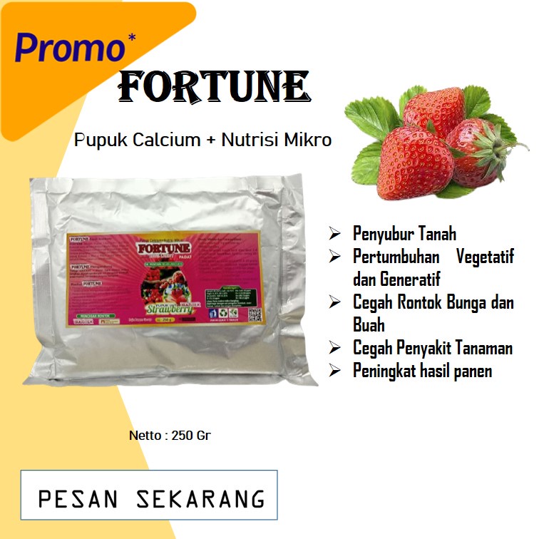 pupuk untuk buah strawberry Booster Strawberry Pupuk Memperbesar Buah Strawberry