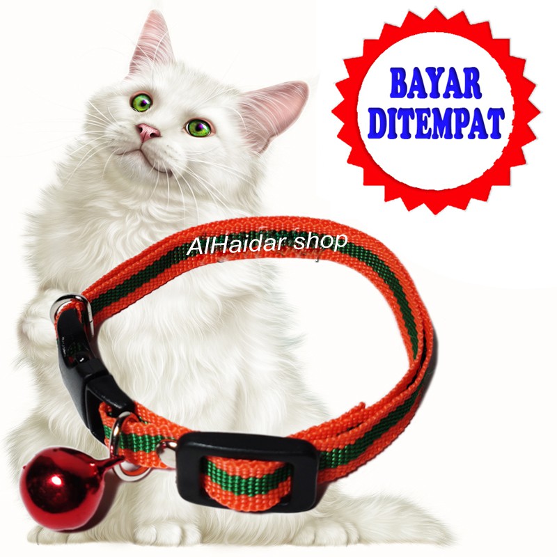 KALUNG KUCING MOTIP GARIS MUSANG MONYET ANJING