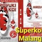 Hiroyuki 1KG 1 KG Super Bulky Dan Colour Max Pakan Koi <