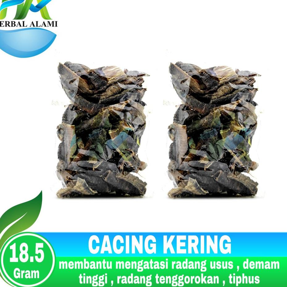 Recomend Cacing Tanah Kering Lumbricus Rubellus 18.5gr Asli - Obat typus Tipes.,