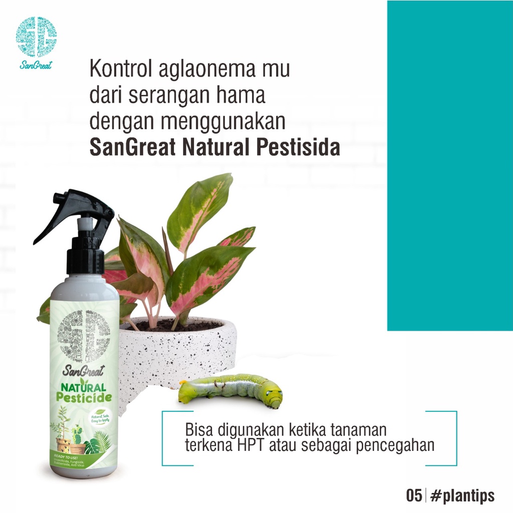 SanGreat Natural Pestisida pengendali hama dan penyakit untuk kutu putih ulat trips keong semut tanaman hias dan tabulampot 250 ml-pestisida organik