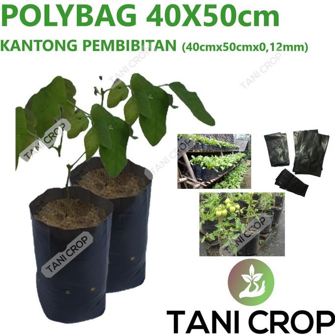 ~~~~~] Polybag/Polibag/Koker/Kantong Pembibitan 40x50 cm 100 Lbr/pack
