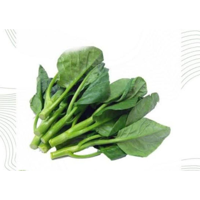 

baby kaylan(daun kaylan)per 250gram