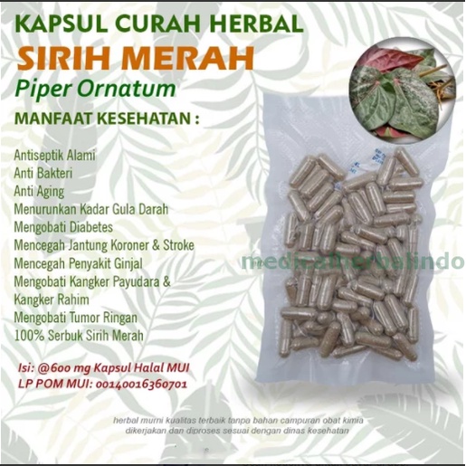 SIDAGURI 100 Kapsul Herbal Lemah Syahwat Eksim Asma Anti Radang Ginjal