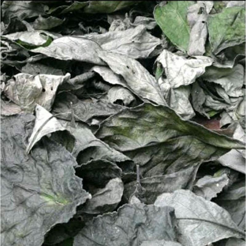 

DAUN PECAH BELING KEJI BELING KERING 100 GRAM