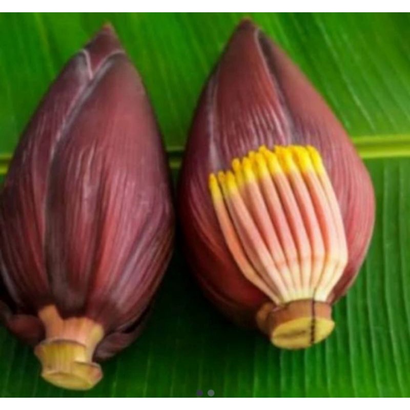 

Otong pisang klutuk/pisang batu segar 1 kg