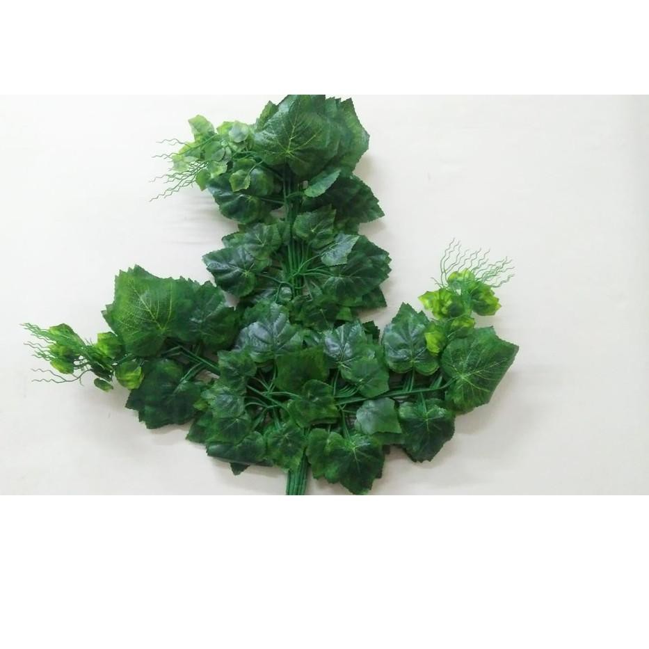 

Diskonϟflash Daun anggur promo