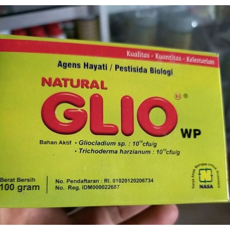 Natural gliocladium /natural glio nasa/ obat patek tanaman cabe /glio ori