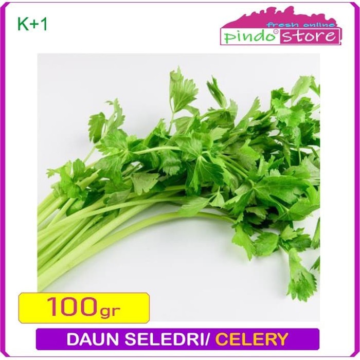 

DAUN SELEDRI SEGAR / CELERY FRESH / DAUN SUP
