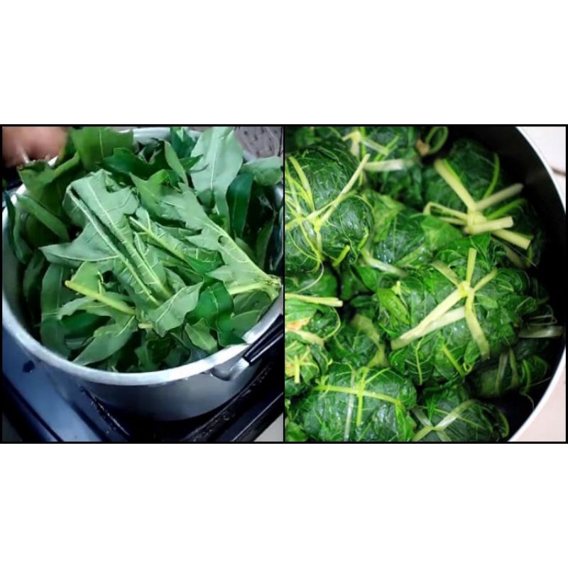 

DAUN PEPAYA REBUS TIDAK PAHIT 250GRAM