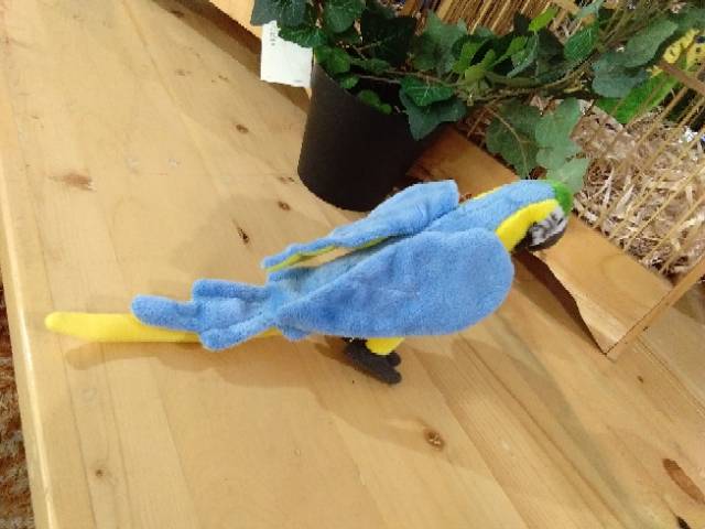 Boneka Burung Macaw Shopee Indonesia