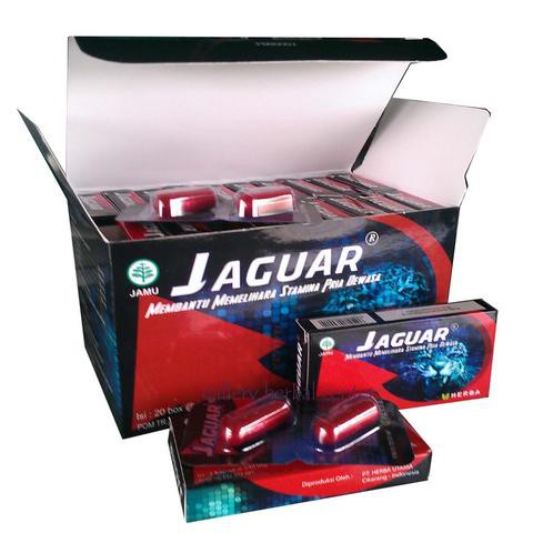 KAPSUL JAGUAR