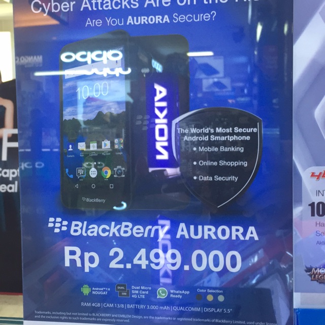 Blackberry Aurora