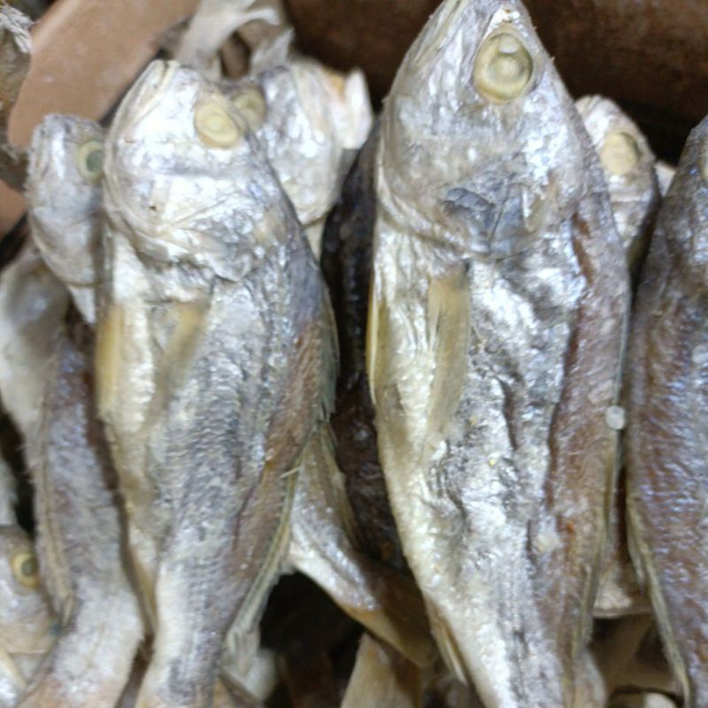 

Ikan Asin Kepala Batu Medan 500gr