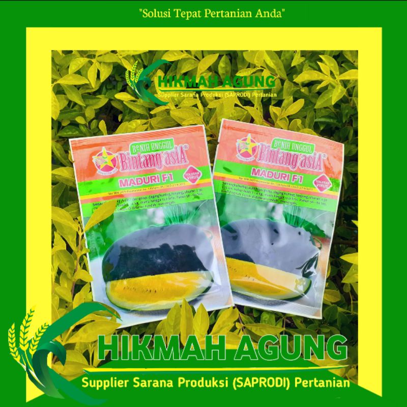 

Benih Semangka MADURI F1 20 Gr "Daging Kuning Inul Manis