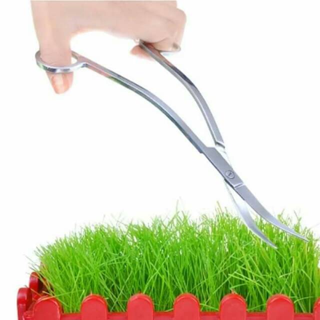 Gunting Ombak Aquascape Stainless