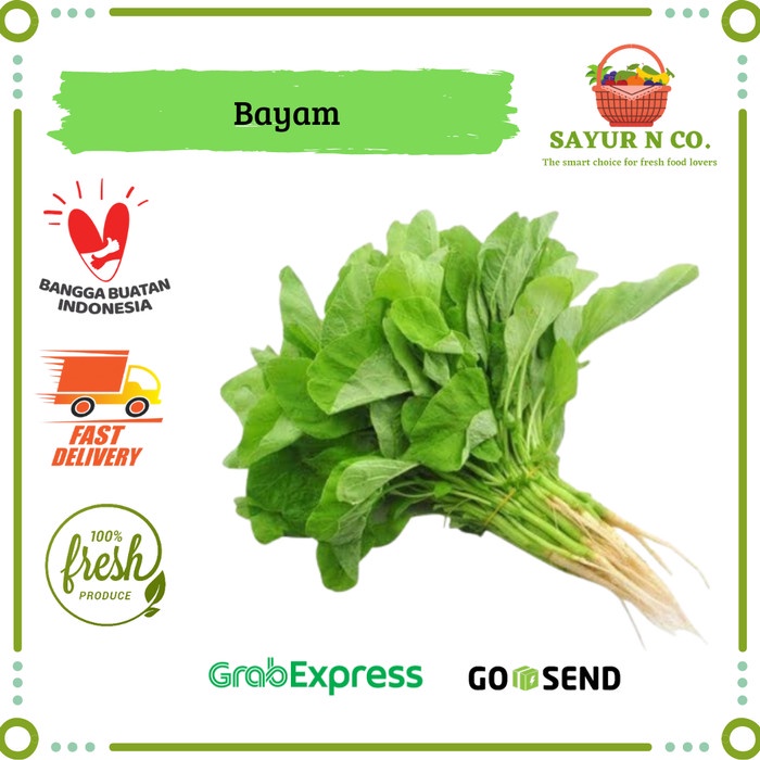 

Bayam Hijau | Sayur N Co Bekasi