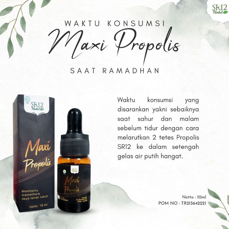 Maxi Propolis SR12 Menjaga &amp; Meningkatkan Daya Tahan Tubuh Termurah