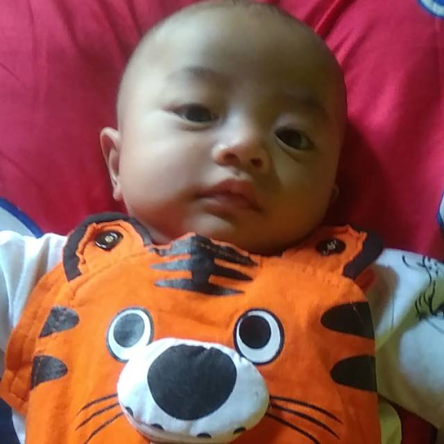 vrwti29