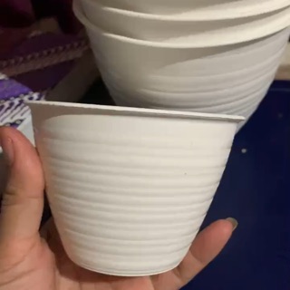  Jual  pot  tawon  ukuran 10 cm pot  untuk kaktus Shopee 