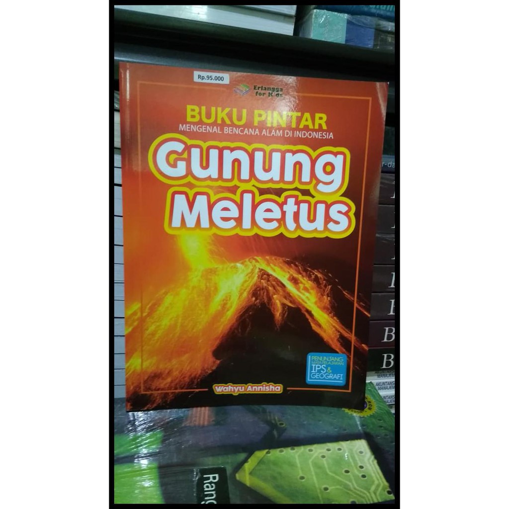 Buku Anak Seri Bencana Seri Pengetahuan Bencana Alam Tsunami Gunung