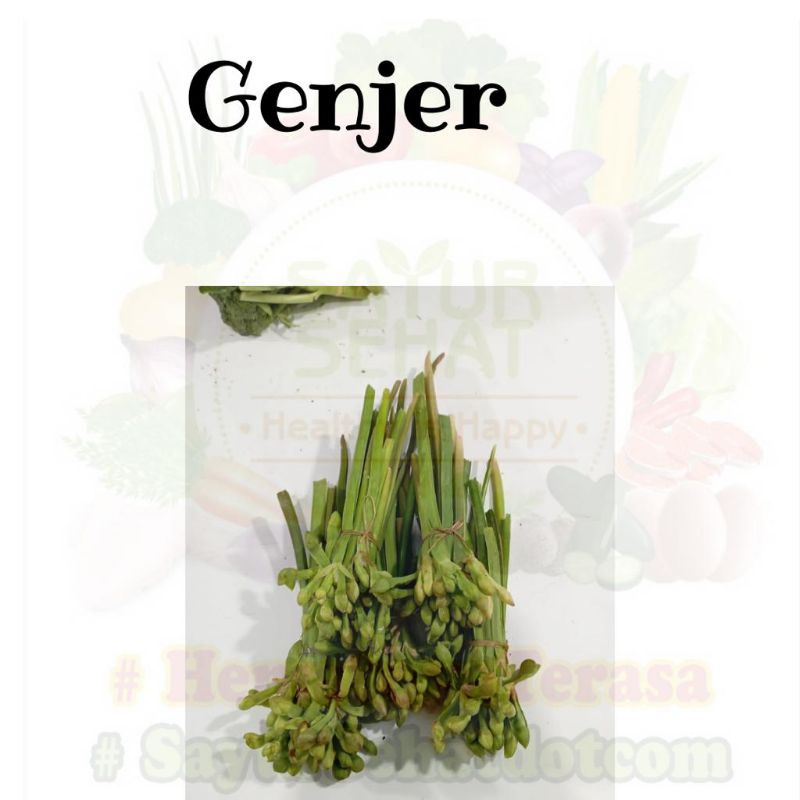 

Sayur Genjer Pack