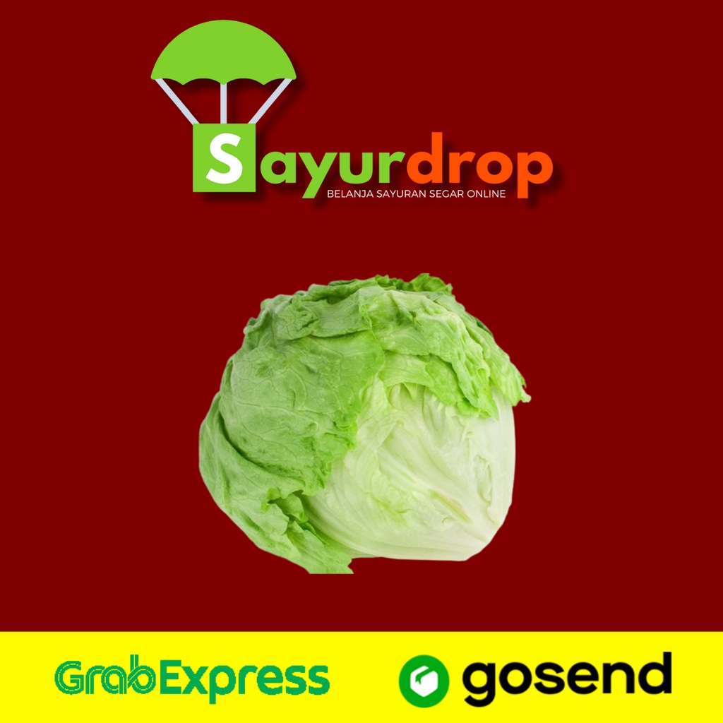 

Lettuce Head 500 Gram - Segar Higienis Murah Cepat - Instant/Same Day Delivery (Sayurdrop)