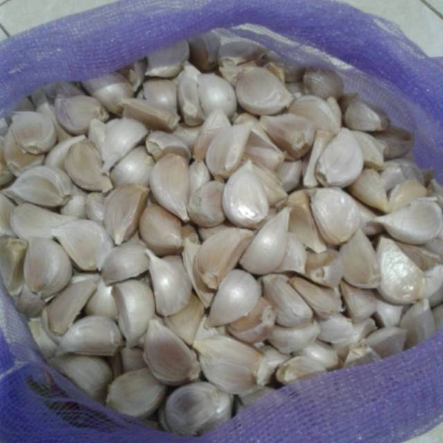 

Bawang putih bawang bombay