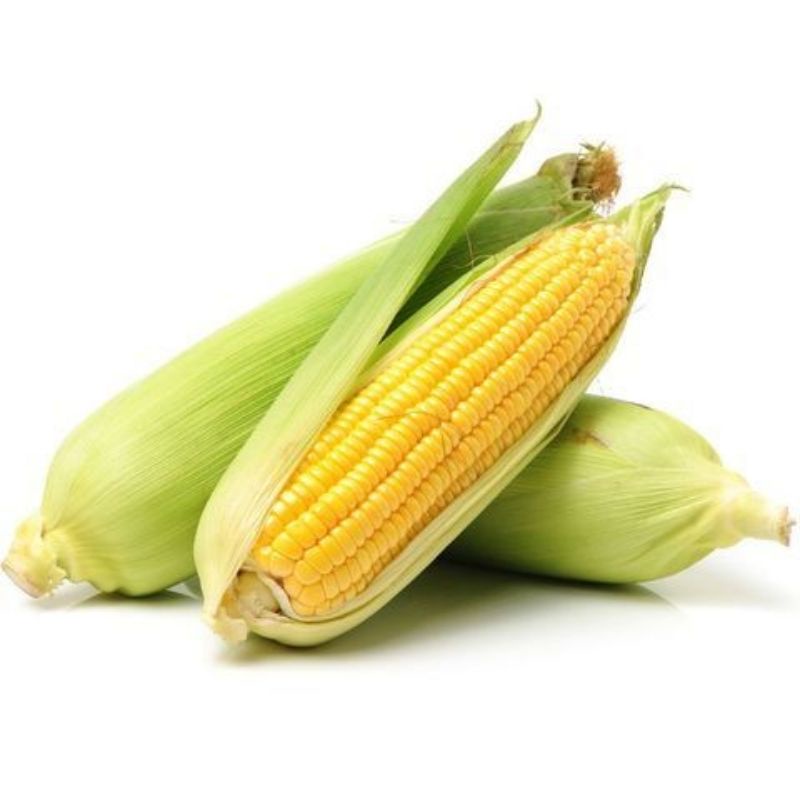 

Jagung manis/madu