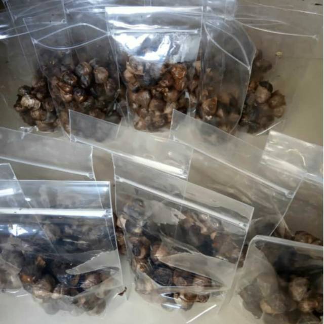 

Black Garlic