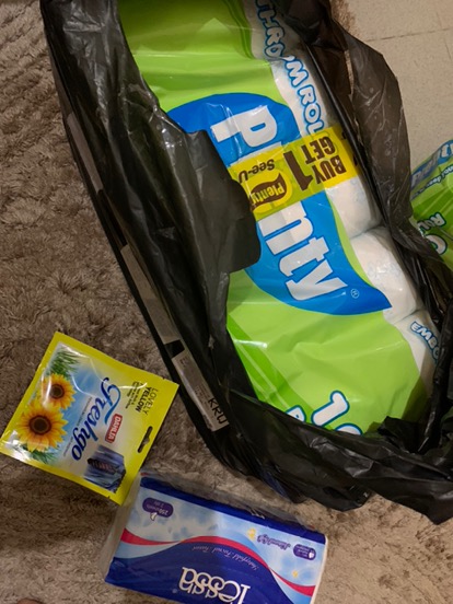 Plenty Bathroom Rolls Tissue Makro Mikro Flower [10 Roll/2 Ply] - Buy 1 Get 1