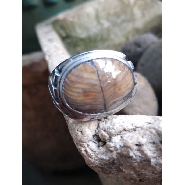 Natural Jipen Jhipen Blarak Sineret