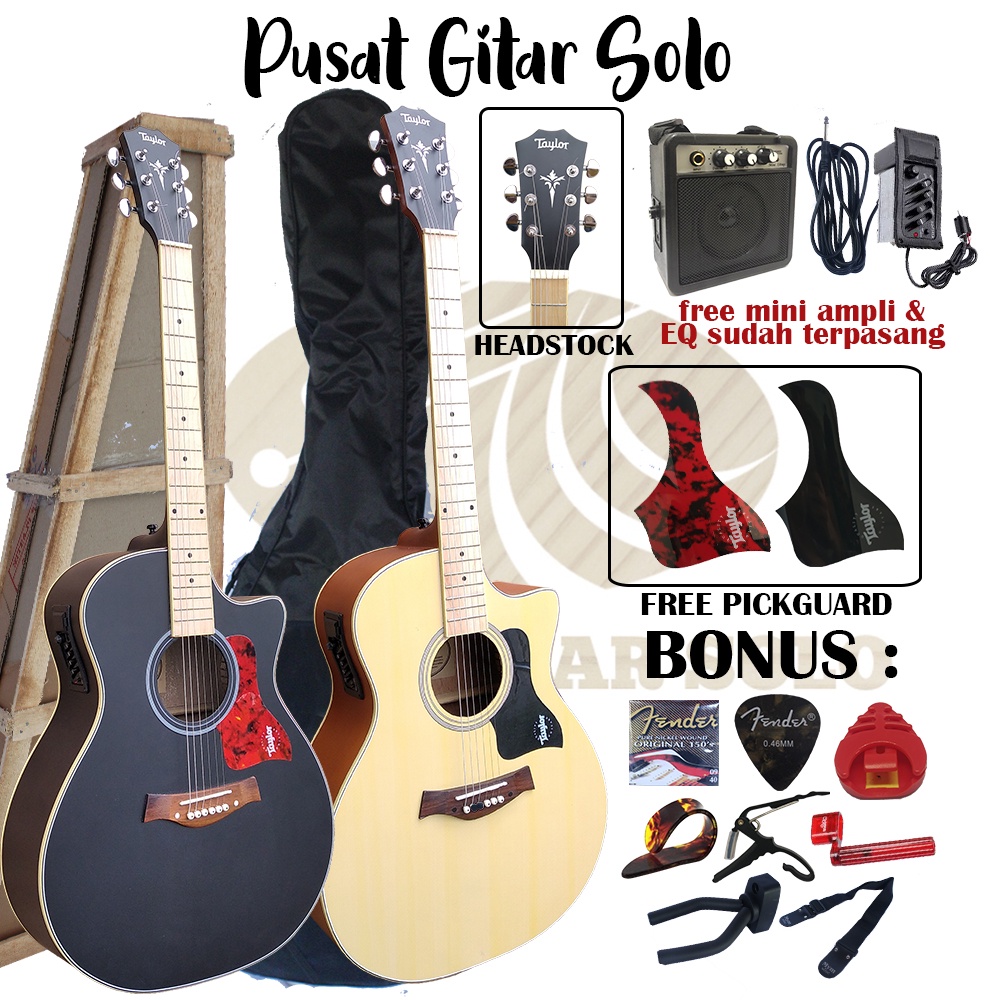 Gitar Taylor Akustik Double Run Bergaransi