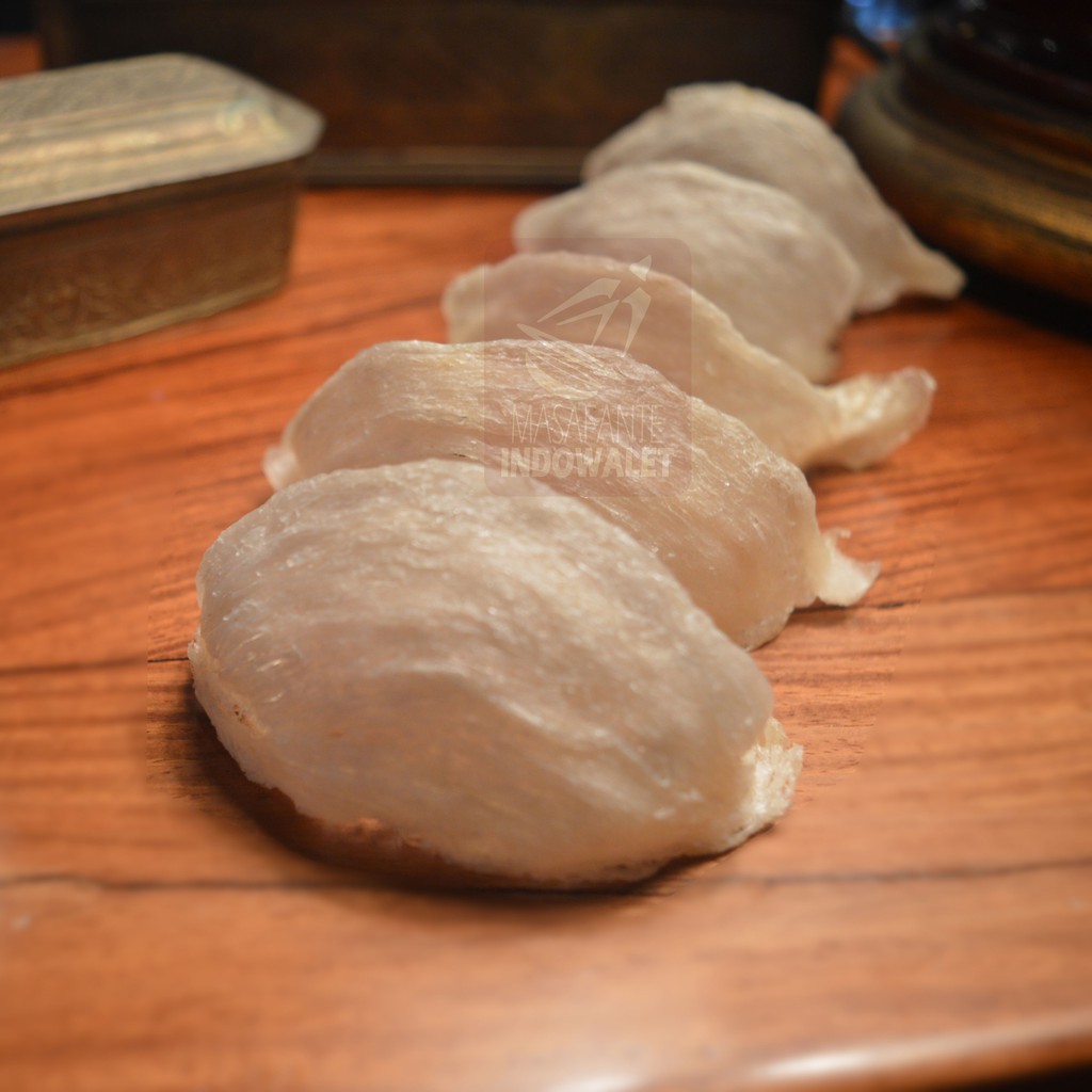 

Sarang Walet Mangkok Murah 500 gr