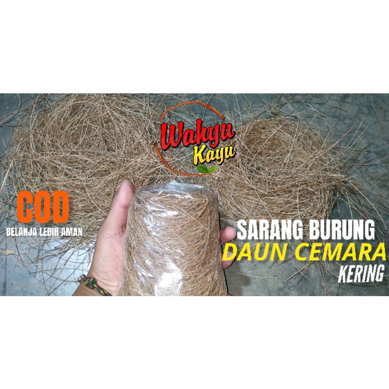 SARANG TERNAK DAUN POHON CEMARA LOVEBIRD MURAI